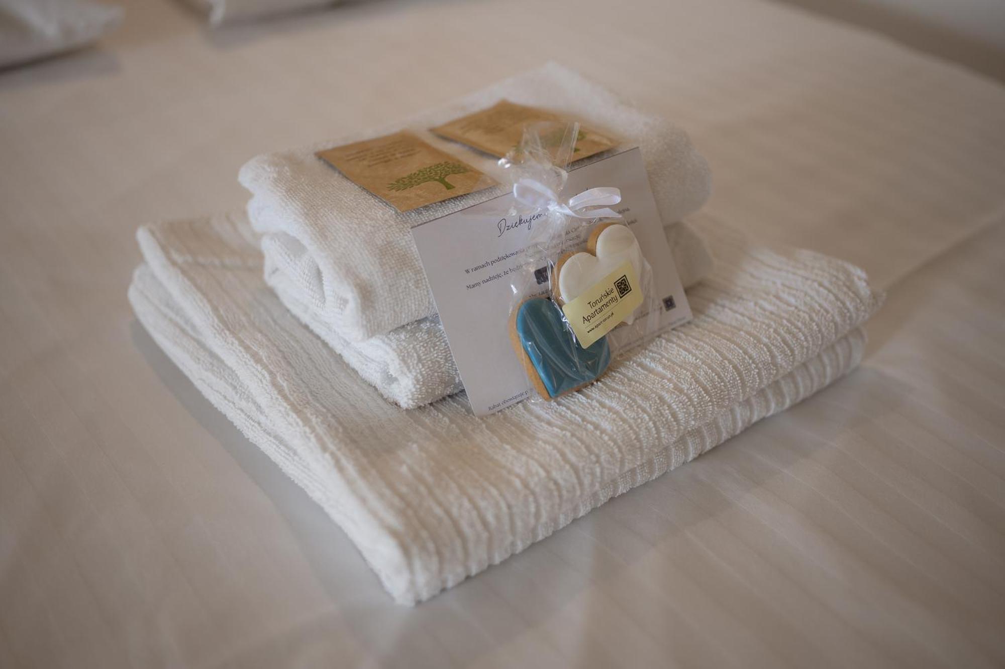 Rustykalny Apartament Apartment Torun Ngoại thất bức ảnh